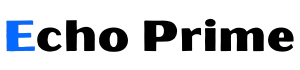Haus - EchoPrime
